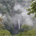 Nebelwald Costa Rica