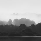 Nebelwald hinter dem See - misty forest behind the lake