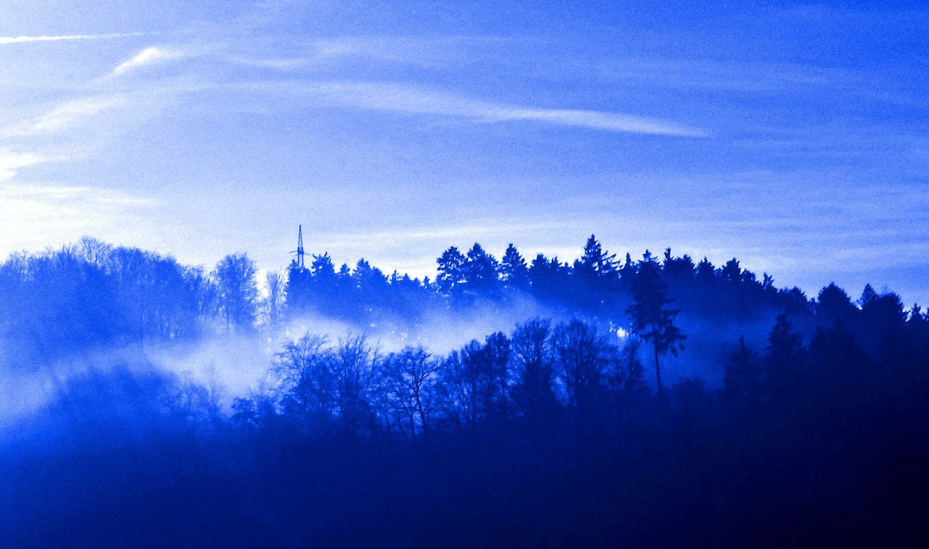 Nebelwald in blau!!!