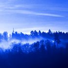 Nebelwald in blau!!!