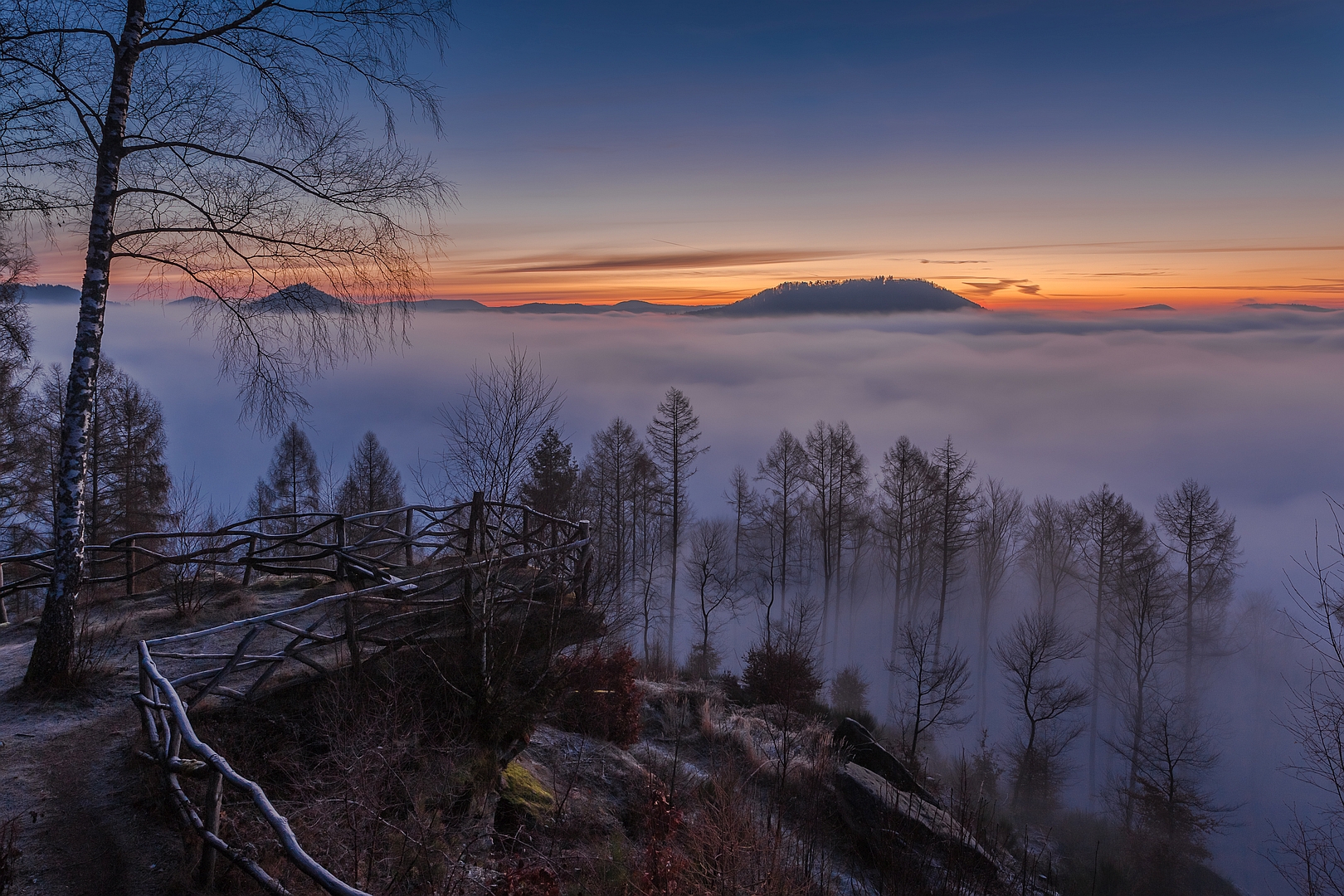 Nebelwald und Morgenrot am Kirschfelsen