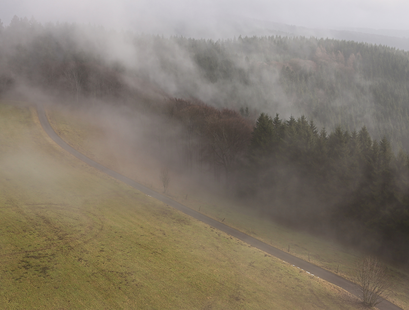 Nebelwald von oben (2018_01_27_EOS 6D_8091_ji)