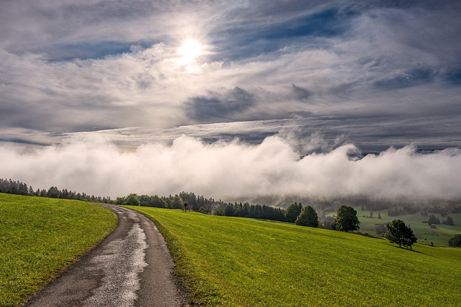 nebelwand 