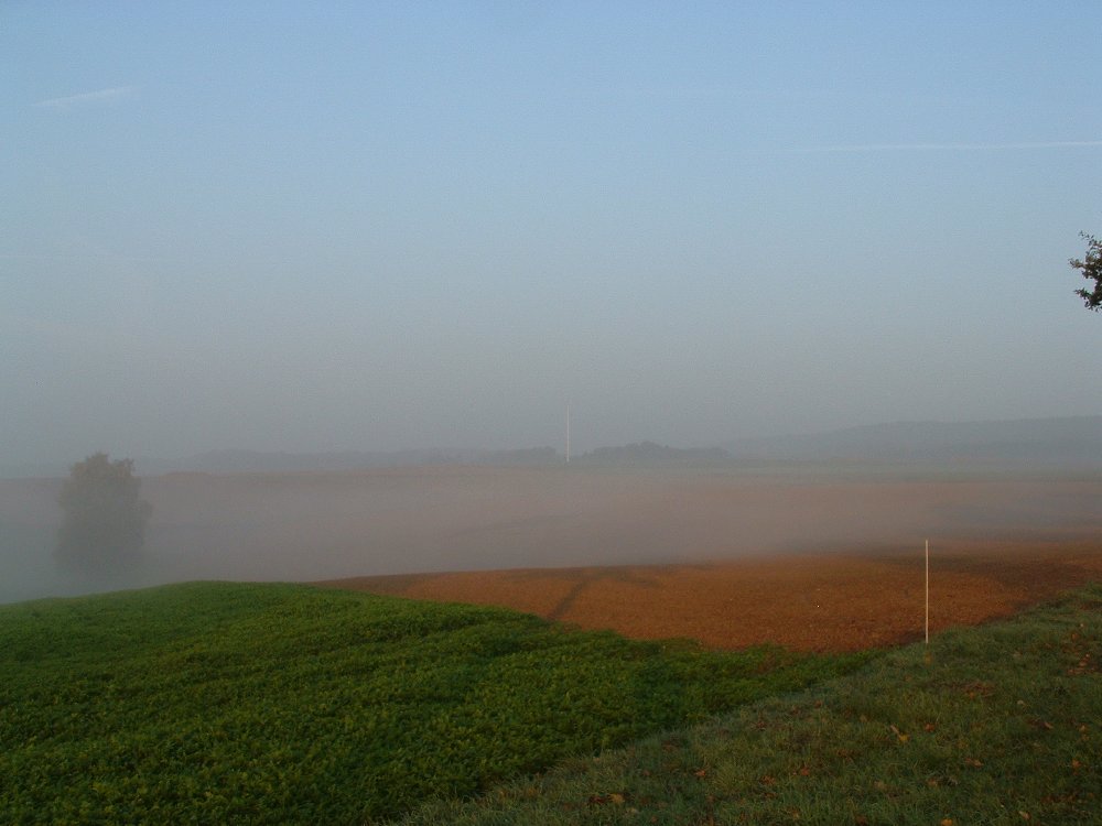 Nebelwand am Morgen