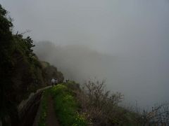 Nebelwanderung auf Madeira