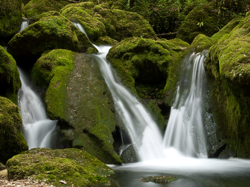 Nebelwasser