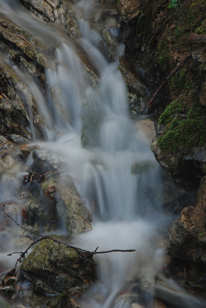 Nebelwasser