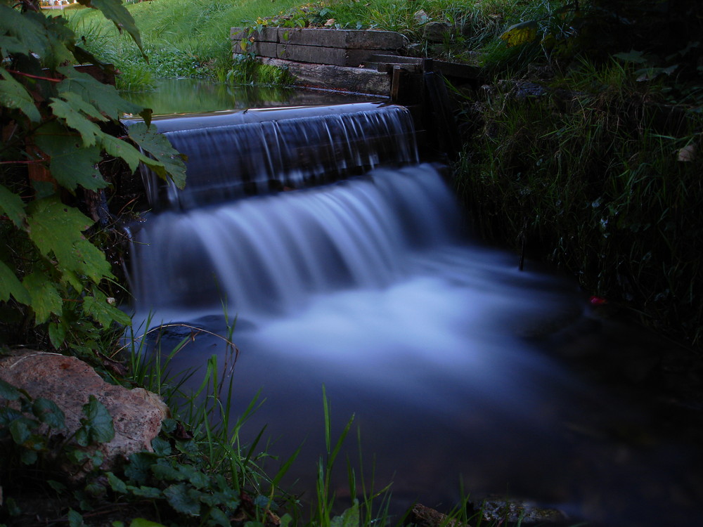 Nebelwasser