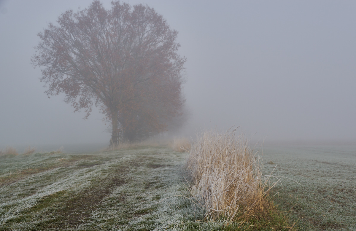 Nebelweg