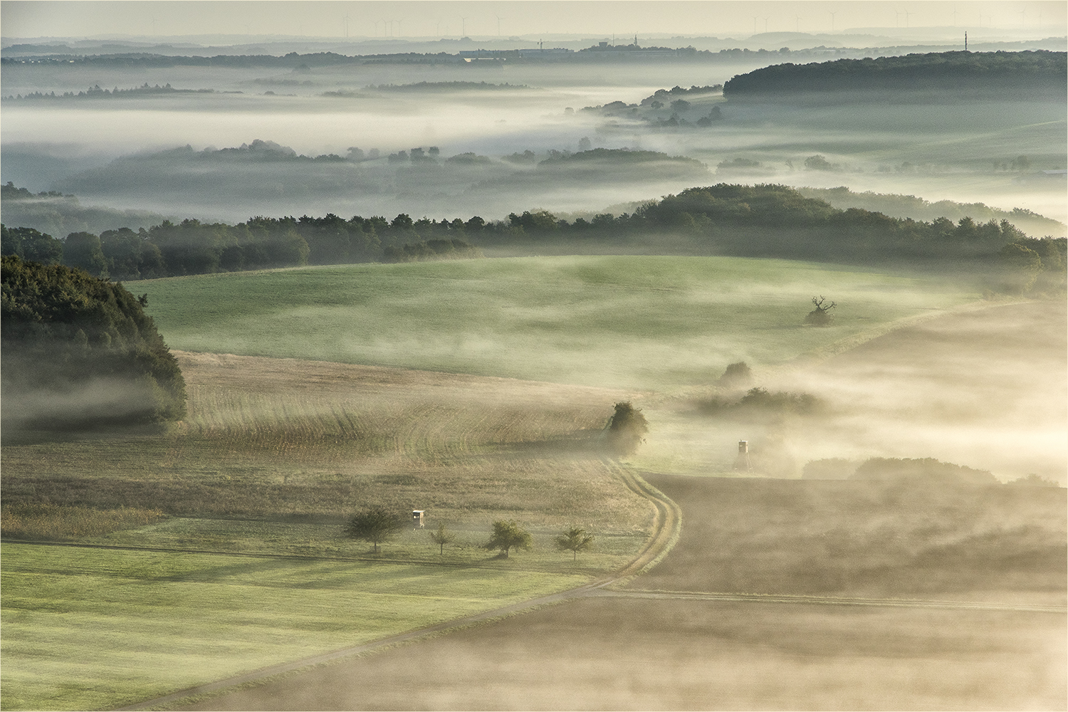 nebelwege