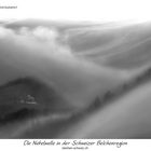 Nebelwelle in der Schweizer Belchenregion