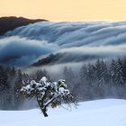 Nebelwelle in Slowenien
