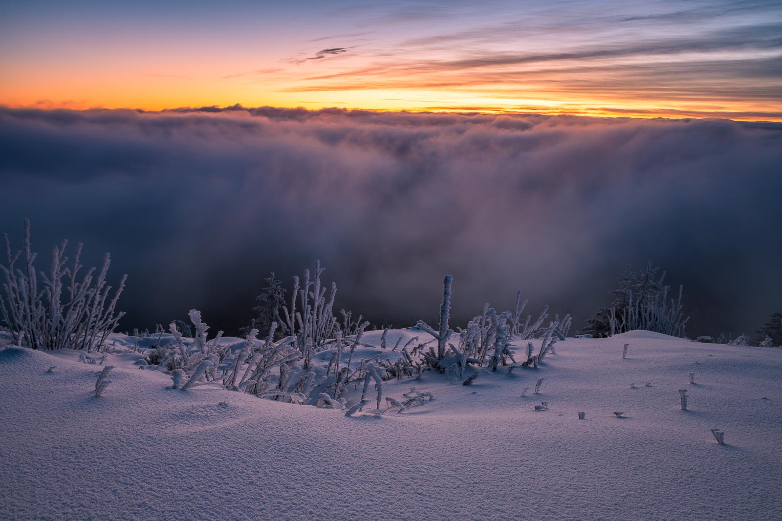 Nebelwelle über dem Schwarzwald