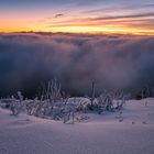 Nebelwelle über dem Schwarzwald