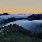 Nebelwellen ziehen über die Hügellandschaft 