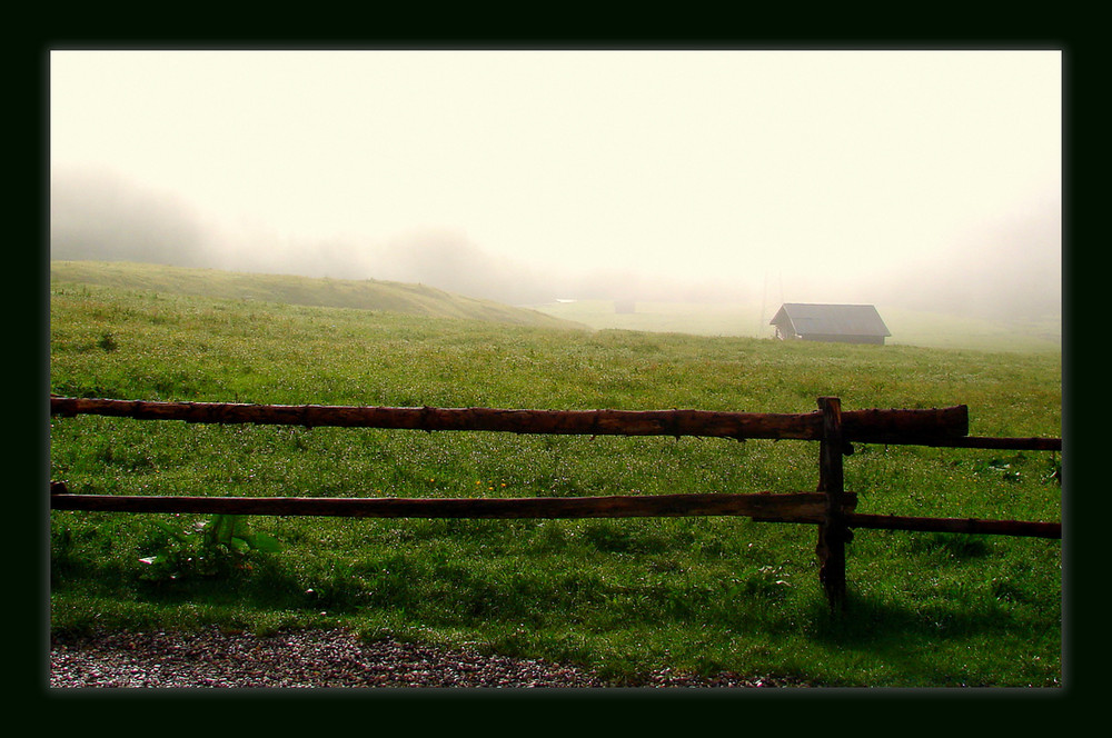 Nebelwelt