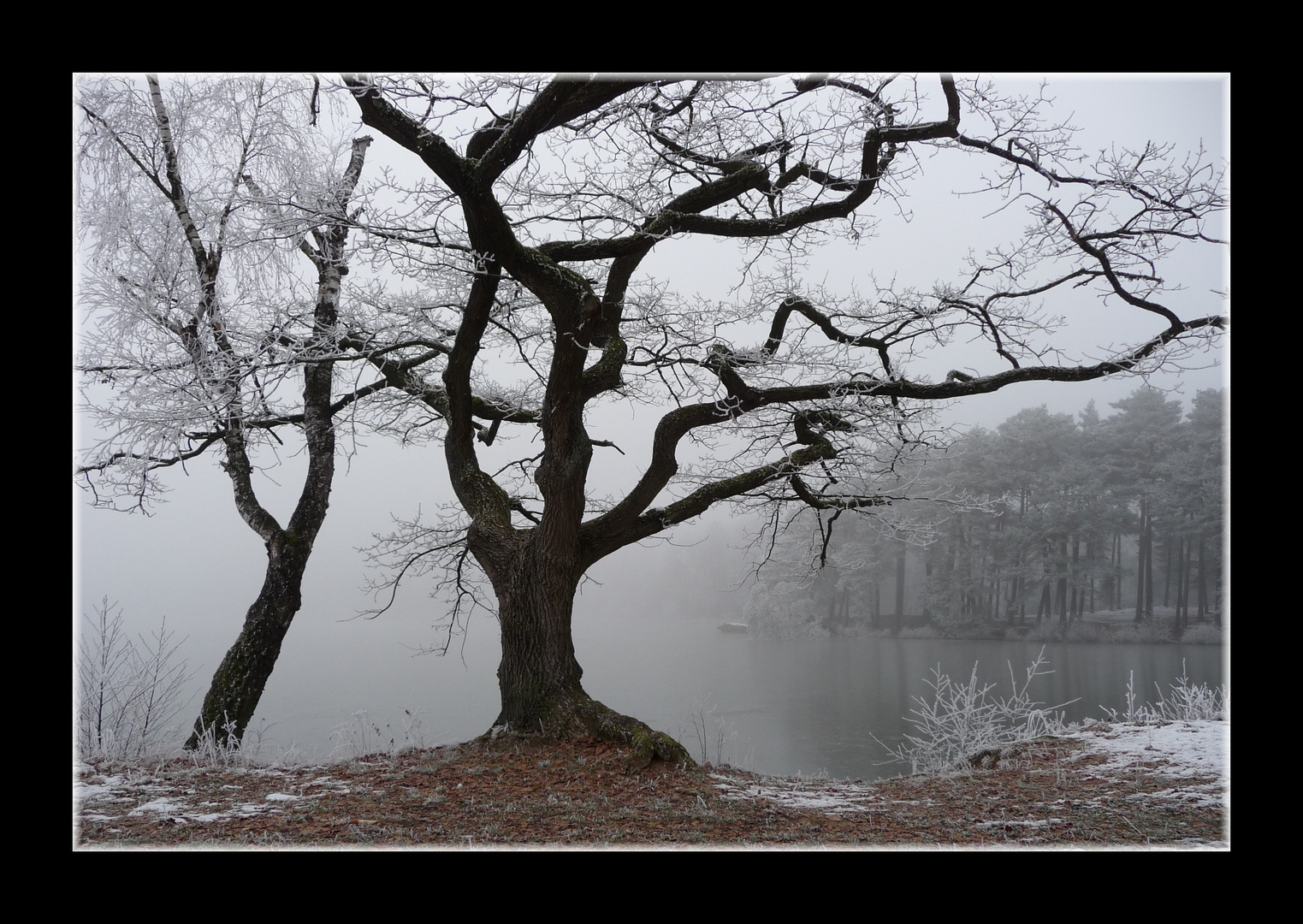 ~ Nebelwelt 1 ~