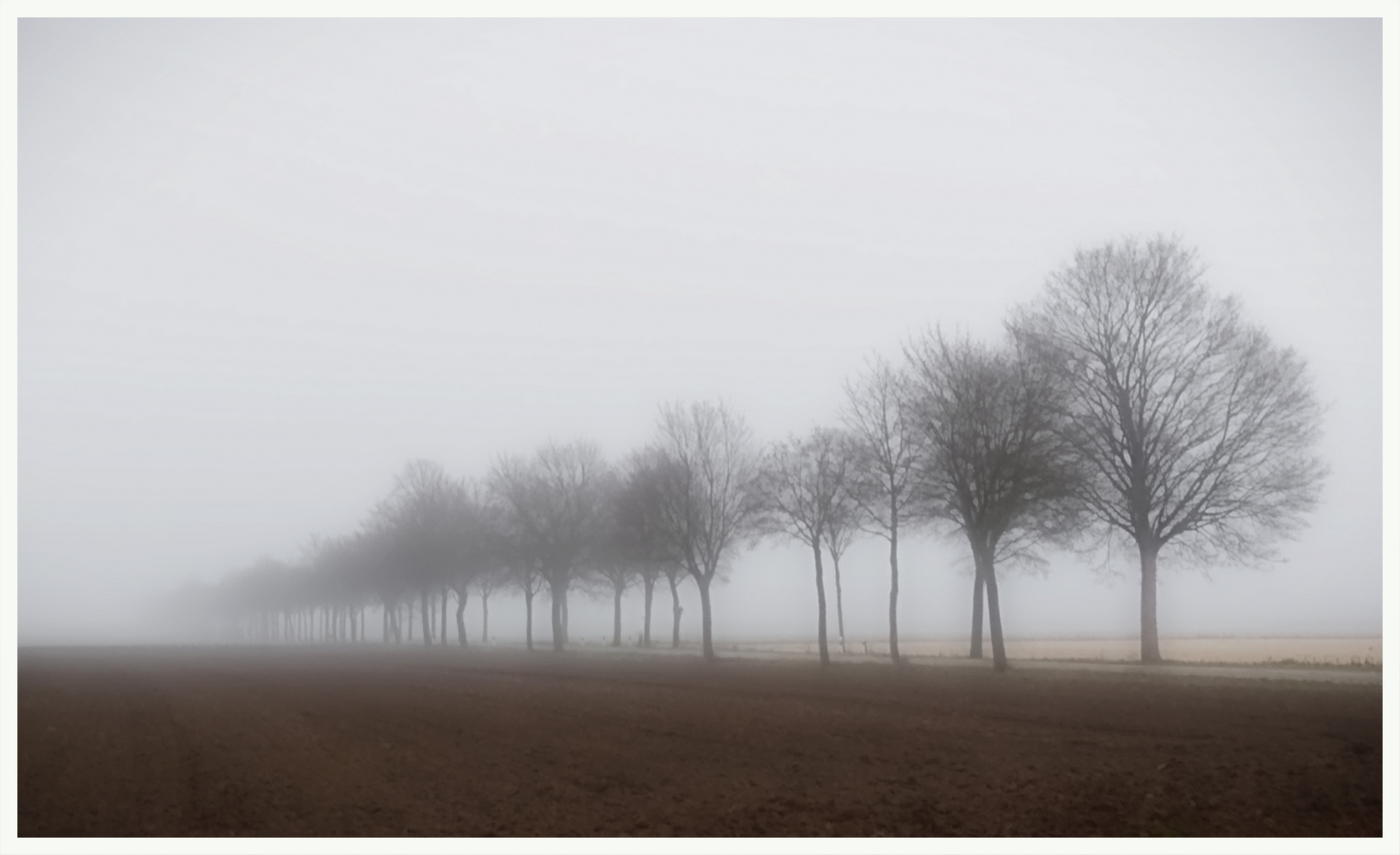 Nebelwelt