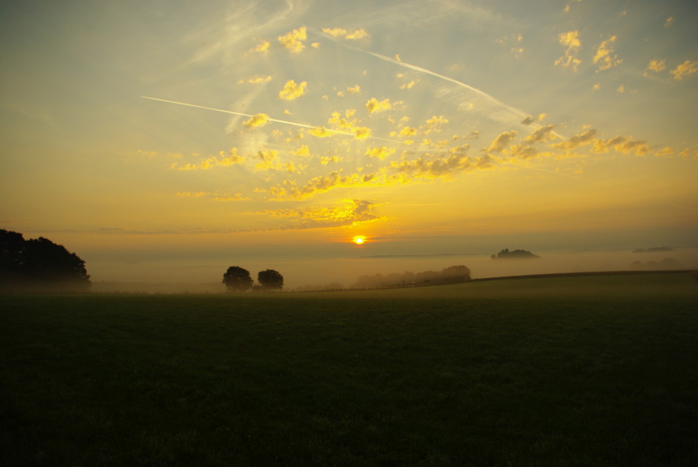 nebelwelt