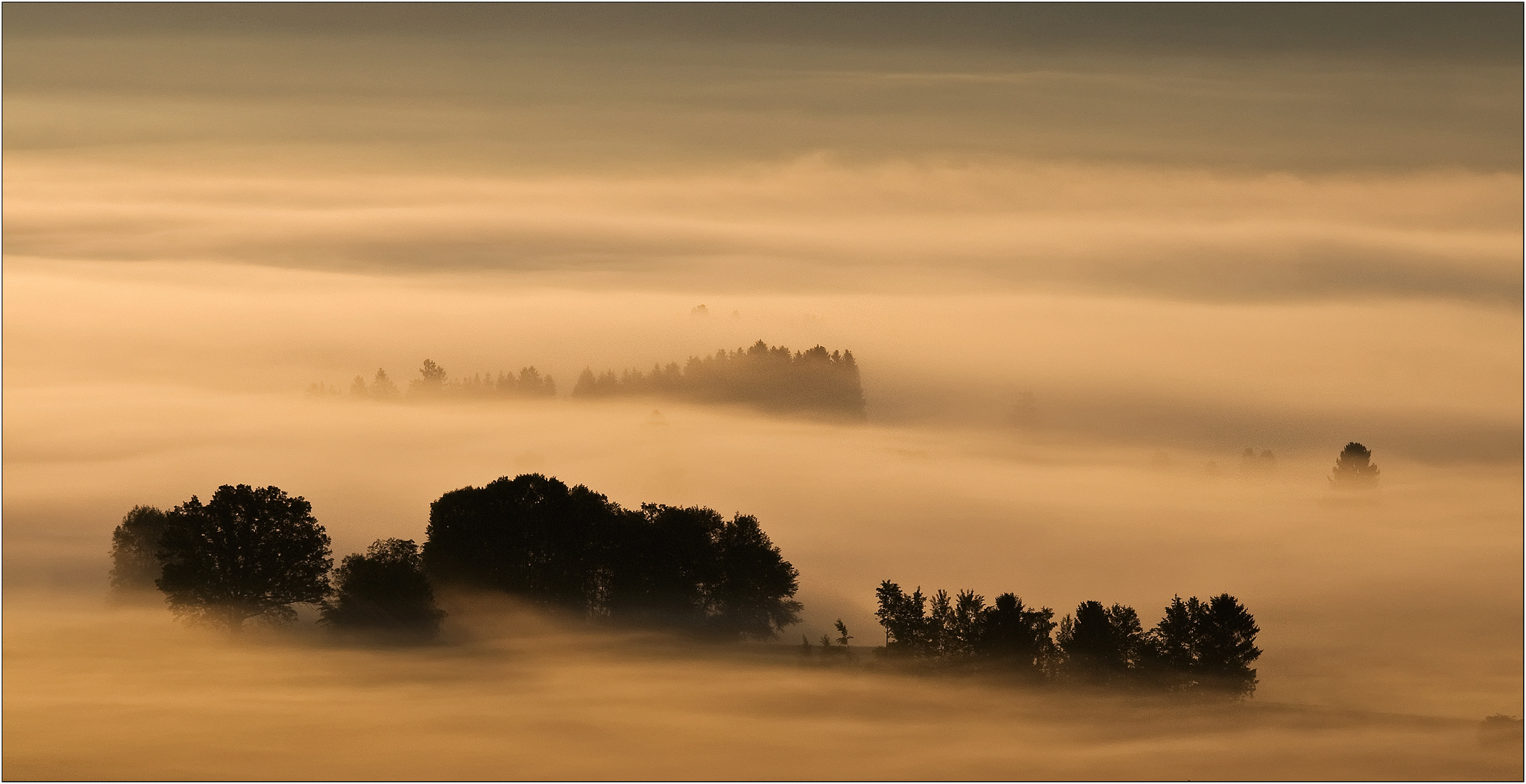 Nebelwelt #2