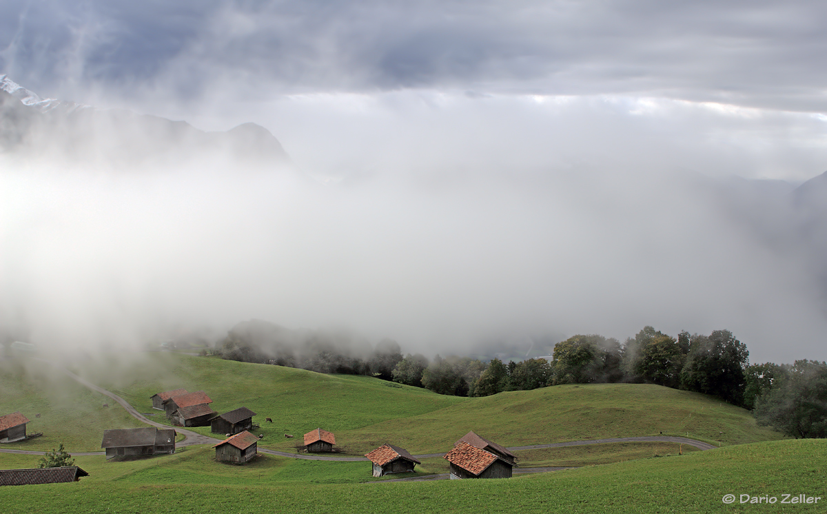 Nebelwelt