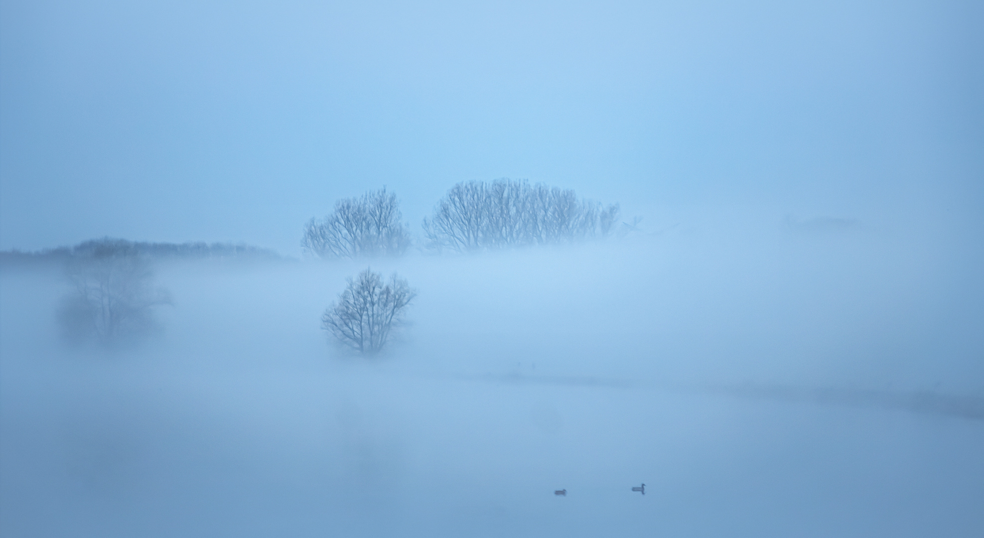 Nebelwelt