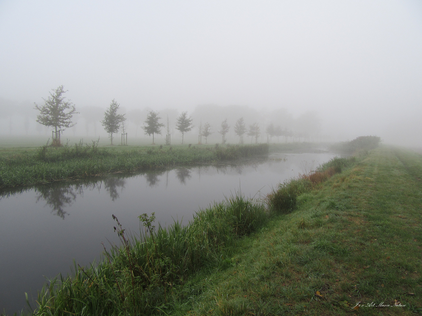 Nebelwelt 