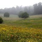 Nebelwelt