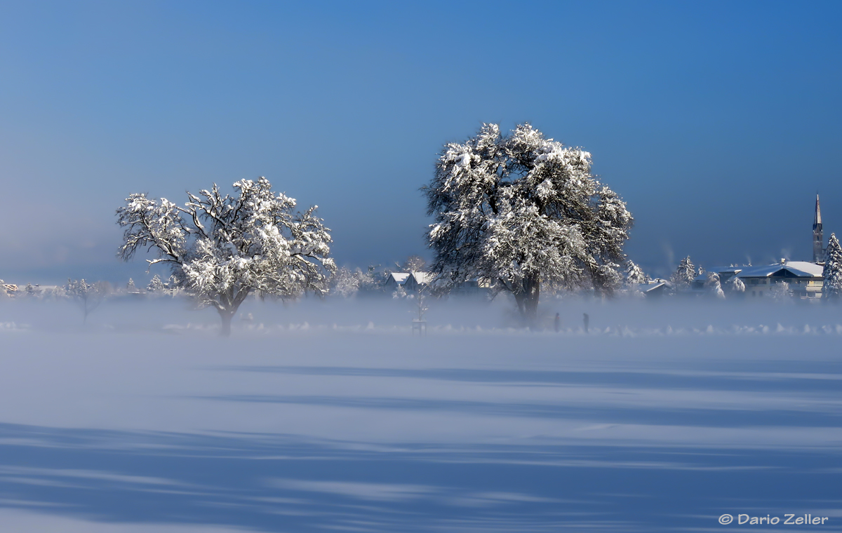 Nebelwelt