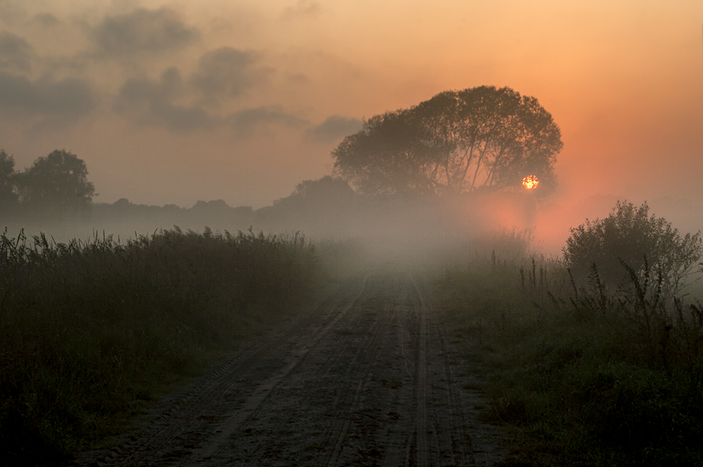 Nebelwetter im Moor, Sonnenaufgang