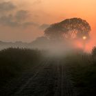 Nebelwetter im Moor, Sonnenaufgang