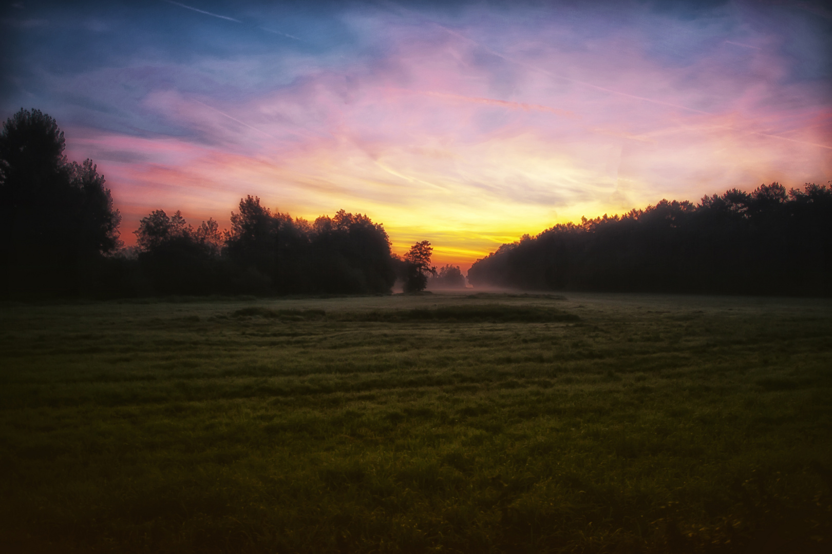 Nebelwiese am Morgen