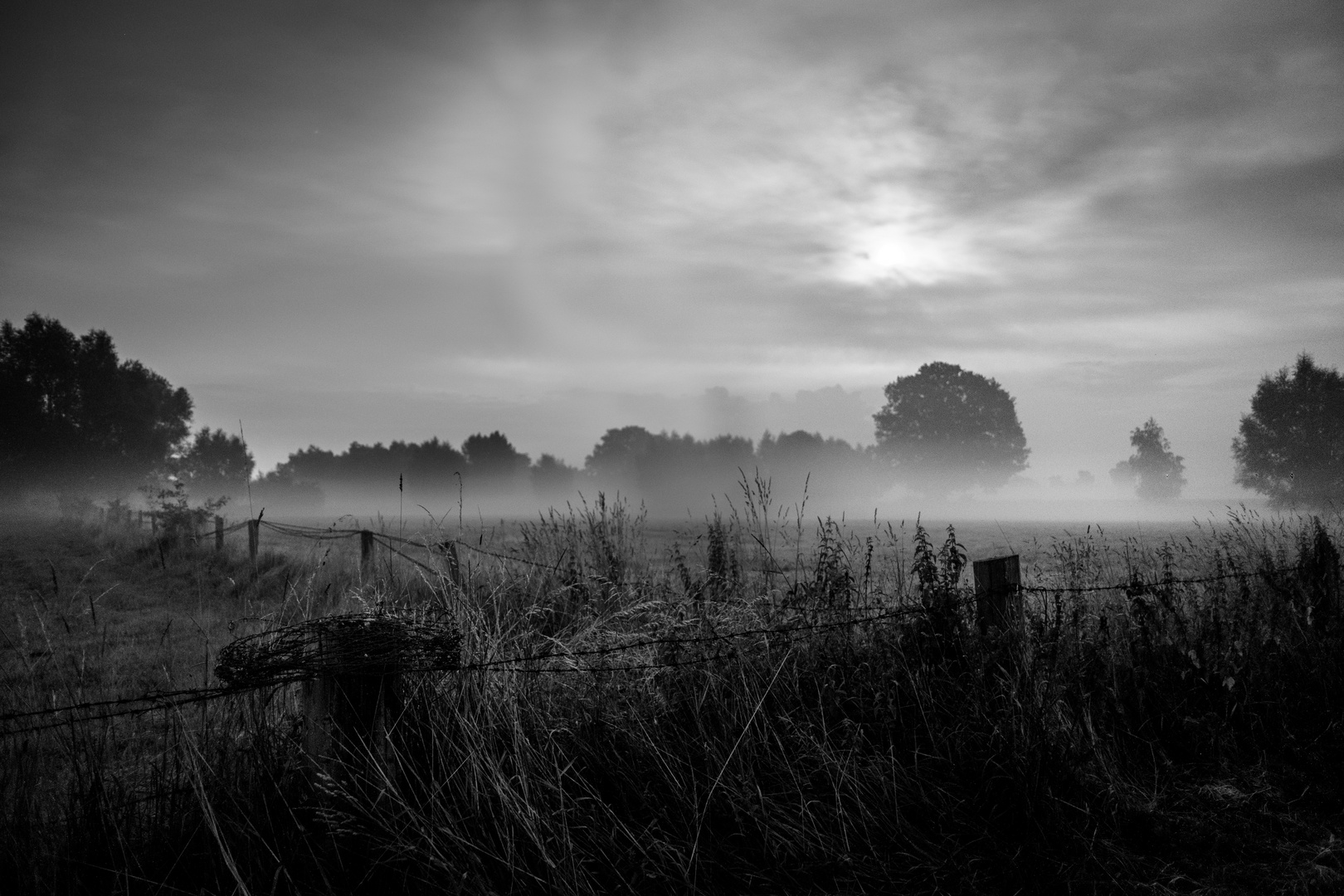 Nebelwiese Bei Nacht