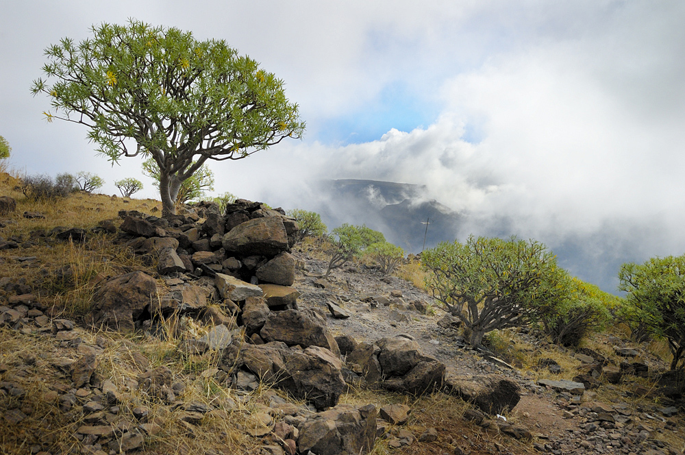 Nebelwolken, La Gomera