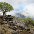 Nebelwolken, La Gomera