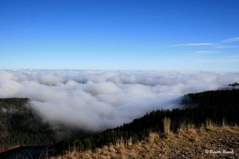 Nebelwolken über dem Schwarzwald