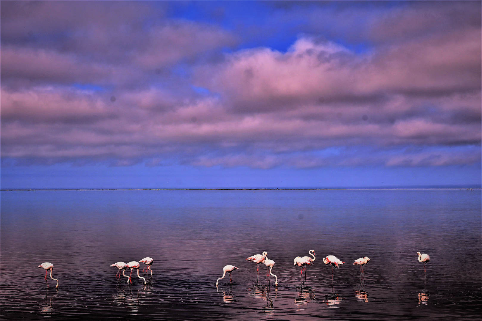 Nebelwolken ueber der Lagune.........