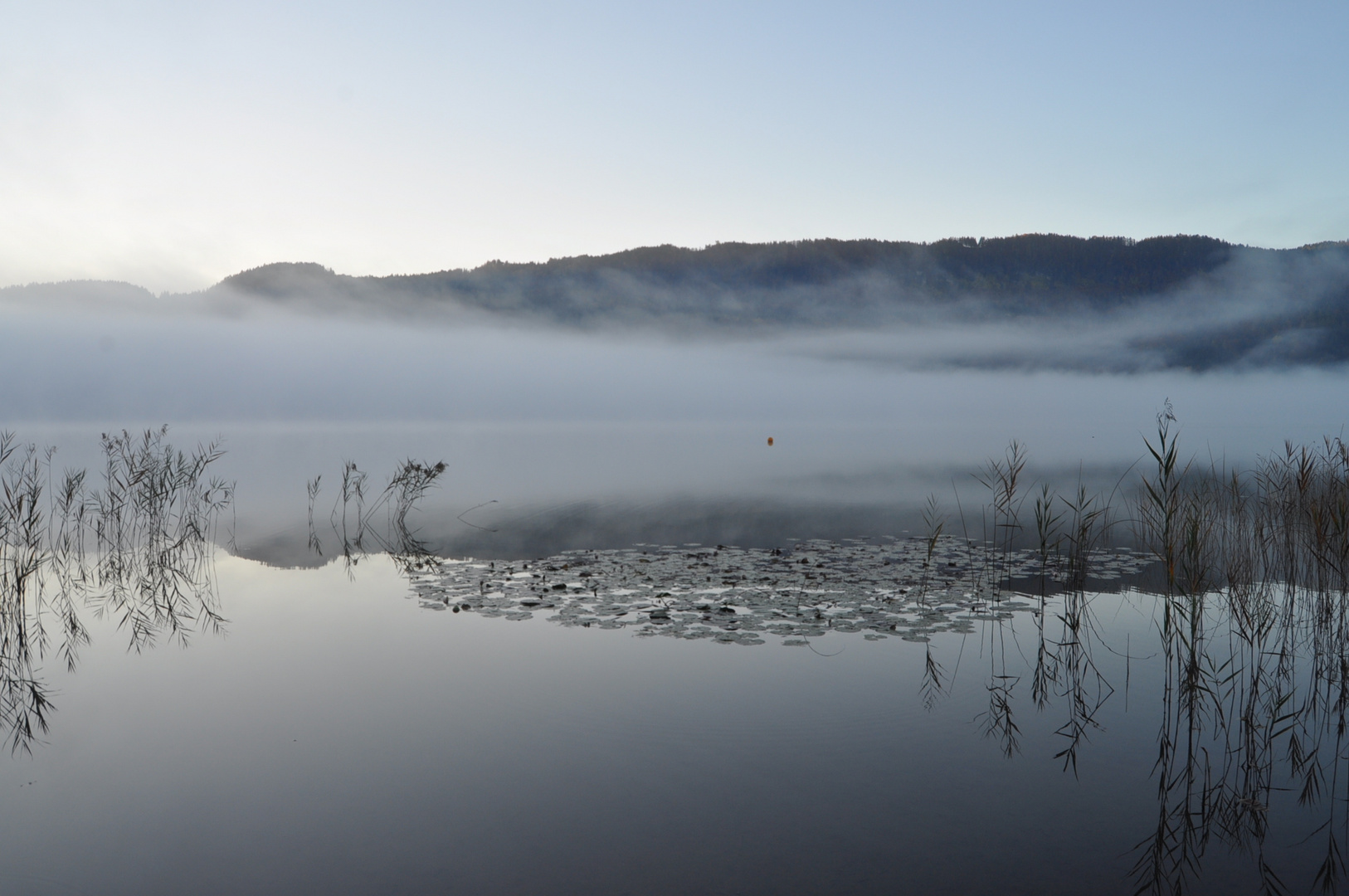 Nebelzauber am Keutschacher See