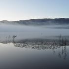 Nebelzauber am Keutschacher See