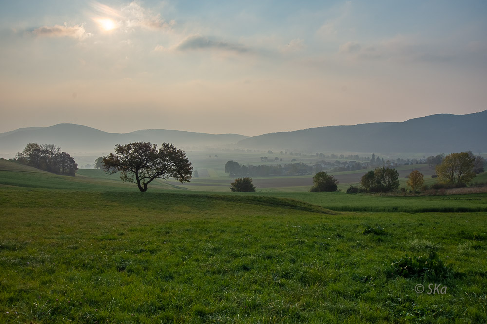 Nebelzauber oder malen mit Licht