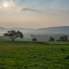 Nebelzauber oder malen mit Licht