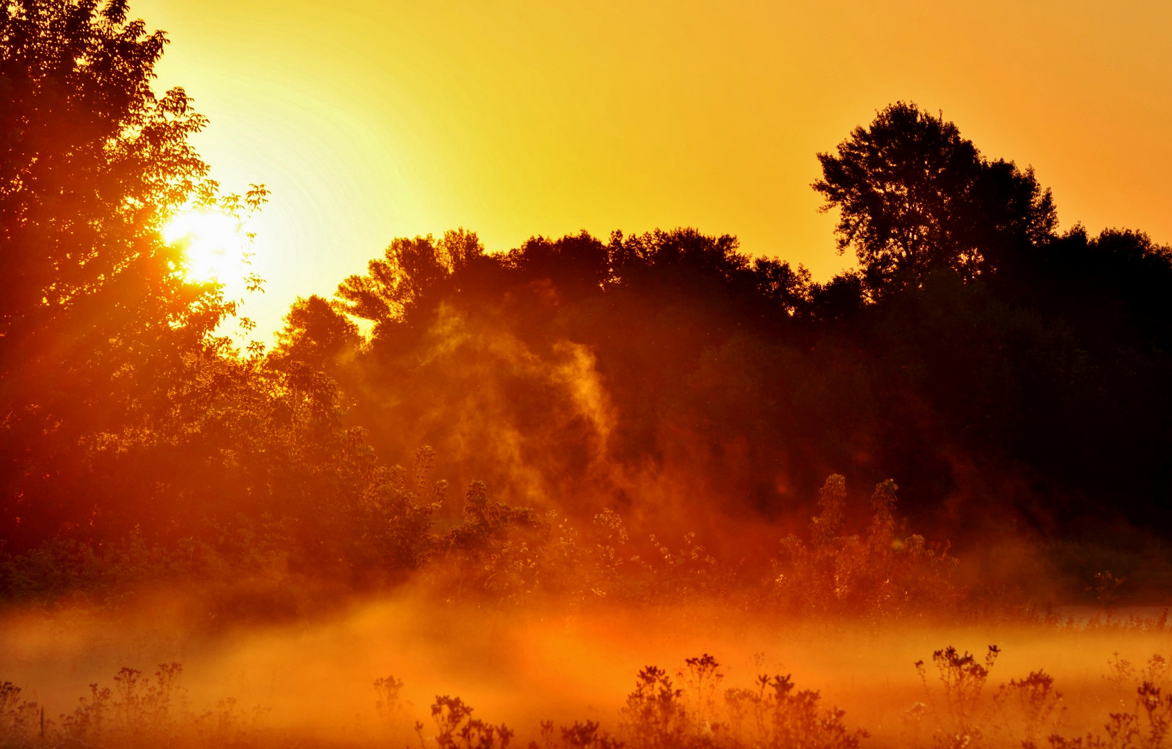 Nebelzug im Sonnenaufgang