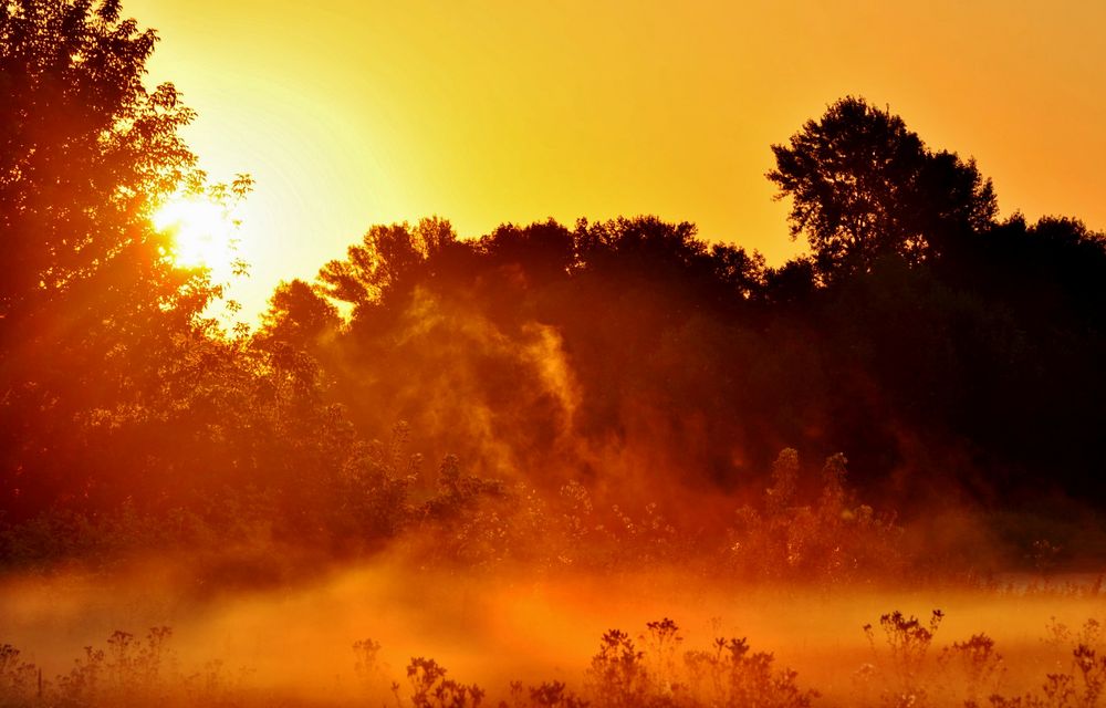 Nebelzug im Sonnenaufgang von Siggi65 