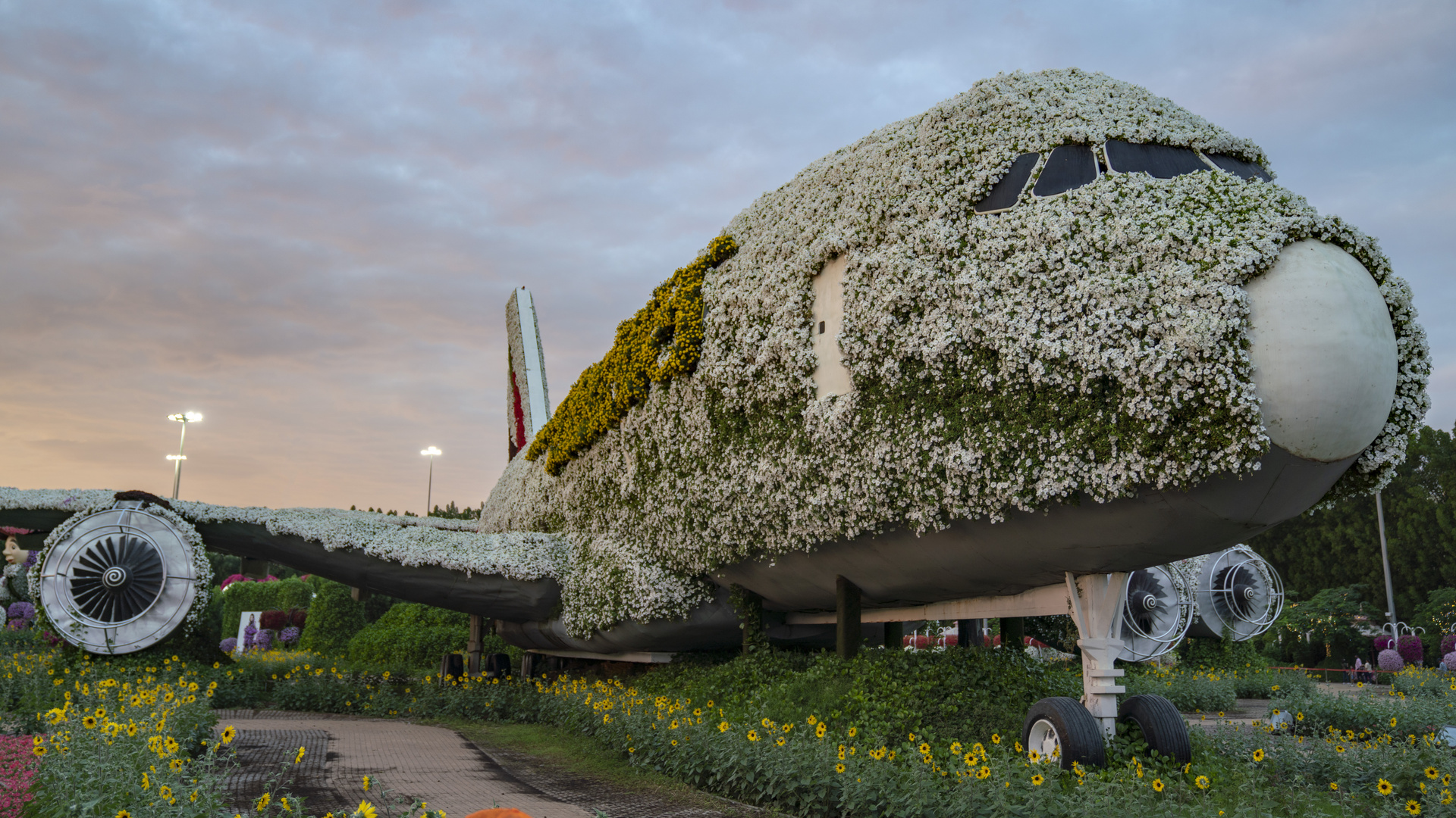 Neben dem Blumenflieger