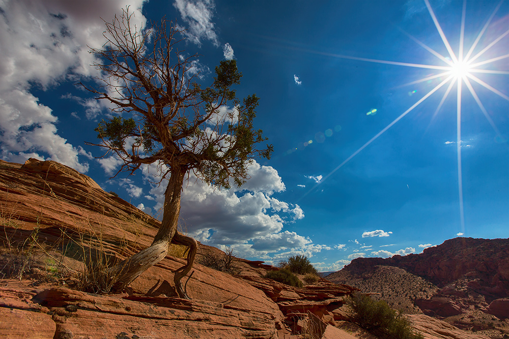 Neben dem Buckskin Gulch