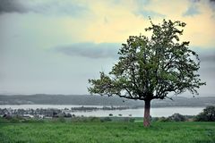 Neben dem Duo vor der Reichenau