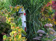 Neben dem Gartenteich einer meiner liebsten Fotoplätze bei uns daheim....