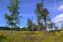 Neben dem Wanderweg zum Kahleberg…