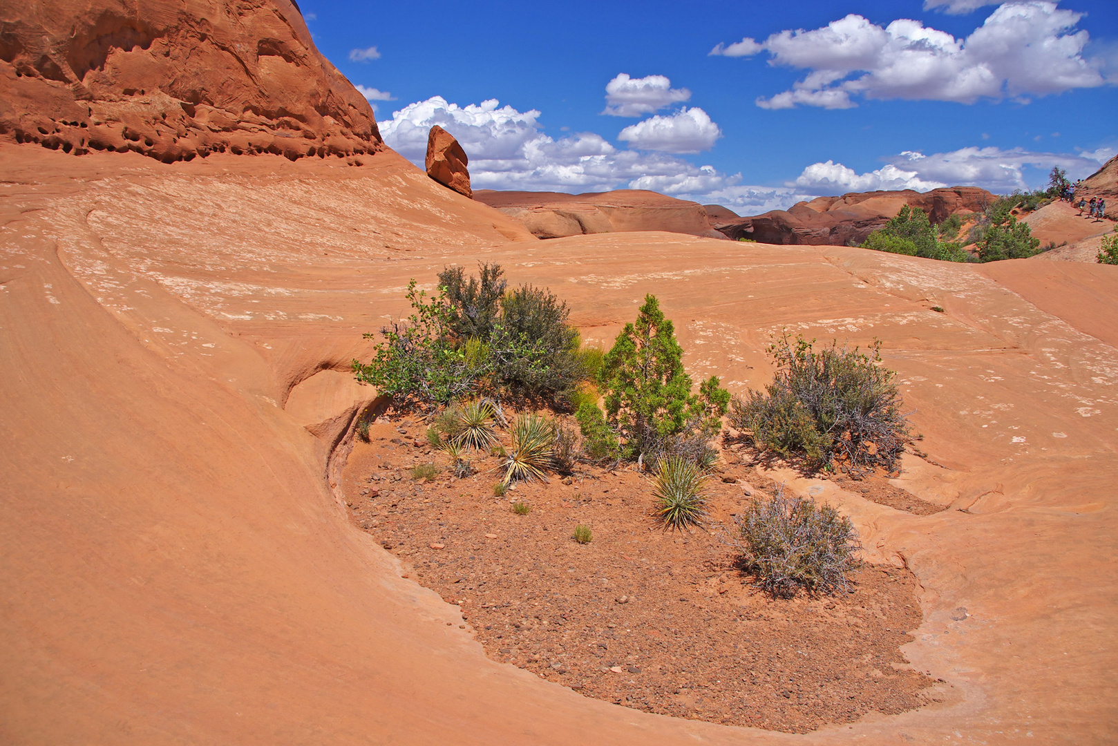 Neben dem Weg zum Delicate Arch