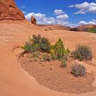 Neben dem Weg zum Delicate Arch